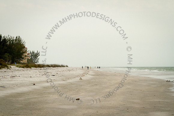 Florida 2012 ~ Week 4-231