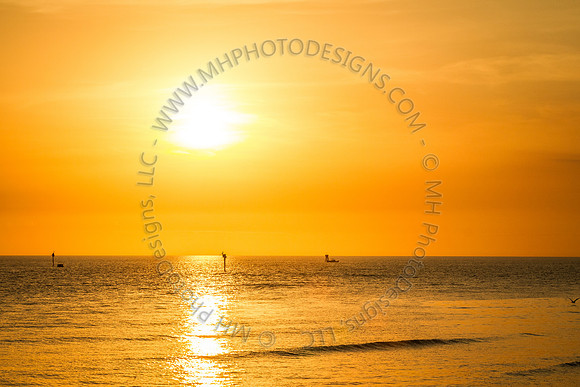 Florida 2012 ~ Week 4-104