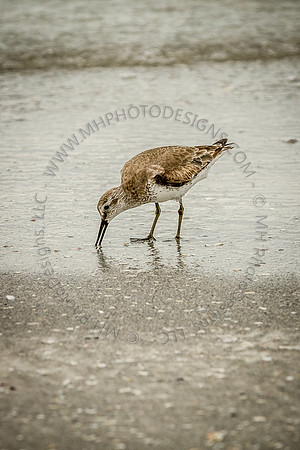 Florida 2012 ~ Week 4-195