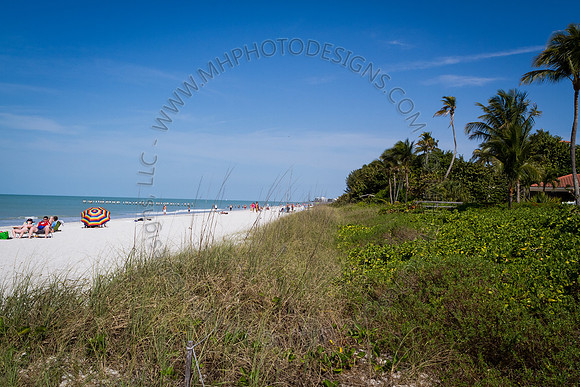 Florida 2012 ~ Week 4-005