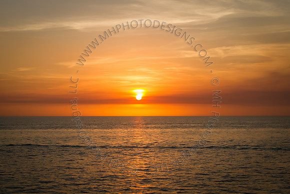 Florida 2012 ~ Week 4-123