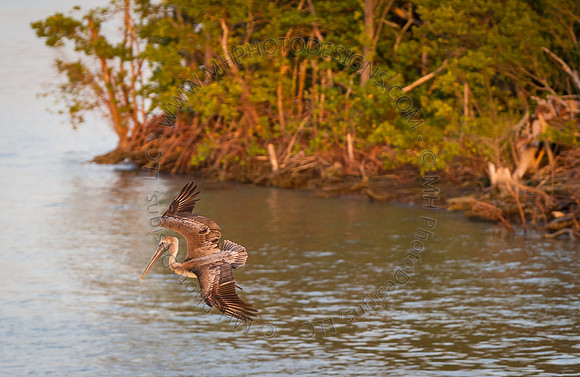 Florida 2012 ~ Week 4-100