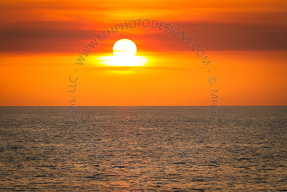 Florida 2012 ~ Week 4-134