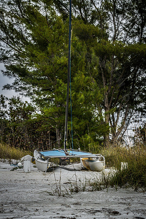 Florida 2012 ~ Week 4-223