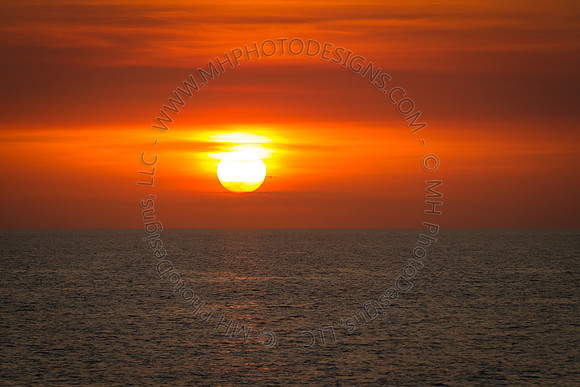 Florida 2012 ~ Week 4-139