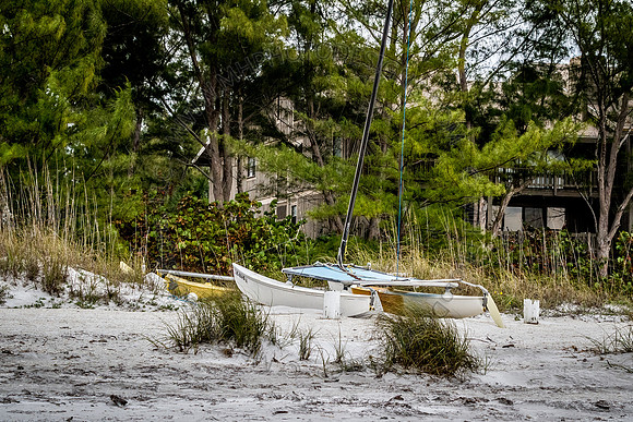 Florida 2012 ~ Week 4-229