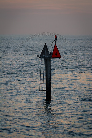 Florida 2012 ~ Week 4-159