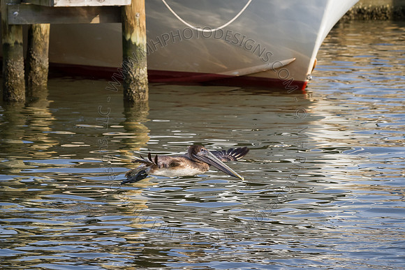 Florida 2012 ~ Week 4-031