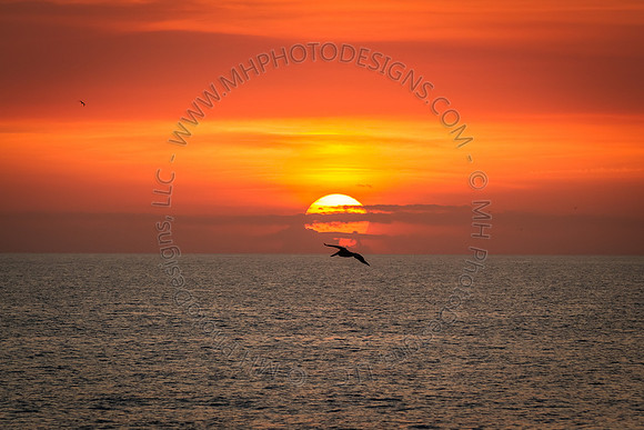 Florida 2012 ~ Week 4-149