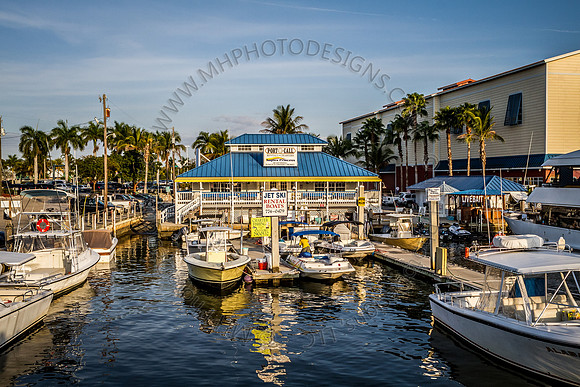 Florida 2012 ~ Week 4-041