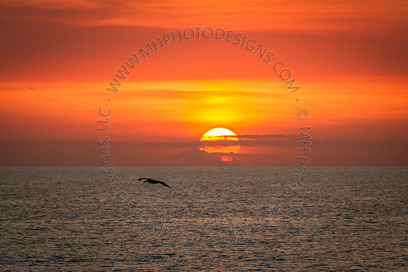 Florida 2012 ~ Week 4-145