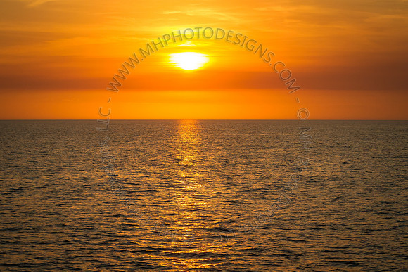 Florida 2012 ~ Week 4-125