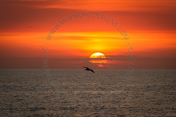 Florida 2012 ~ Week 4-150