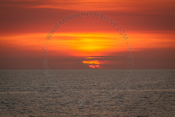 Florida 2012 ~ Week 4-152