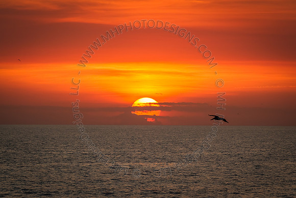 Florida 2012 ~ Week 4-147