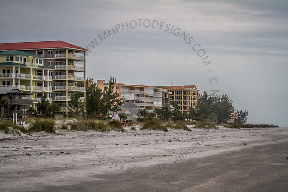 Florida 2012 ~ Week 4-230