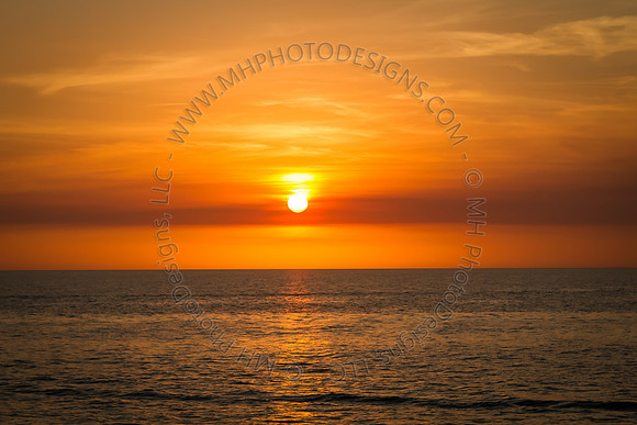 Florida 2012 ~ Week 4-124