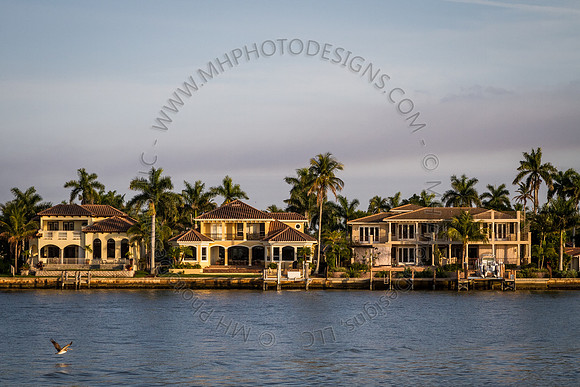 Florida 2012 ~ Week 4-061