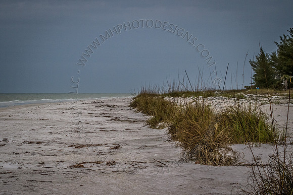 Florida 2012 ~ Week 4-234