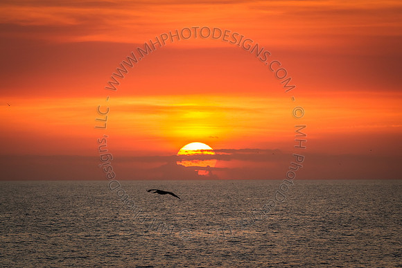 Florida 2012 ~ Week 4-144