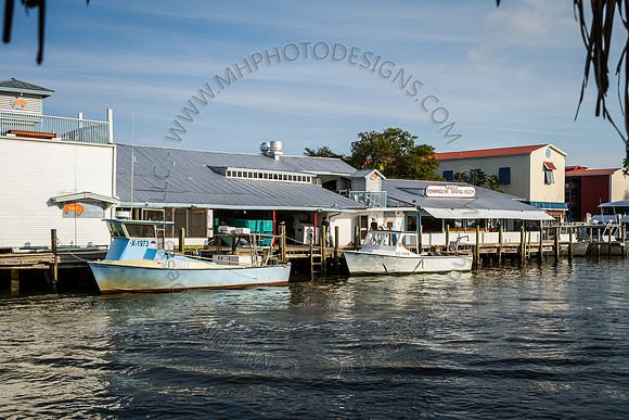 Florida 2012 ~ Week 4-029