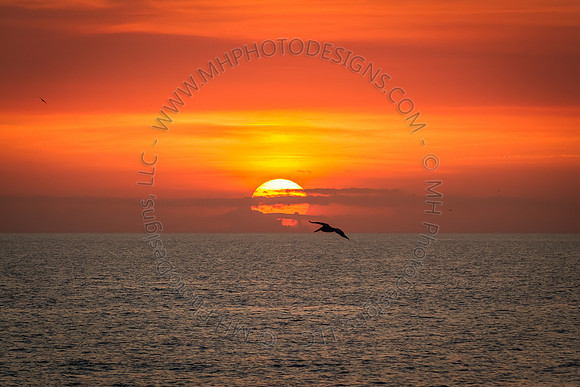 Florida 2012 ~ Week 4-148