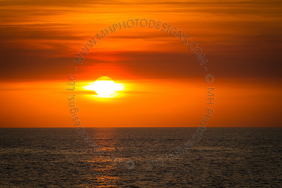 Florida 2012 ~ Week 4-135