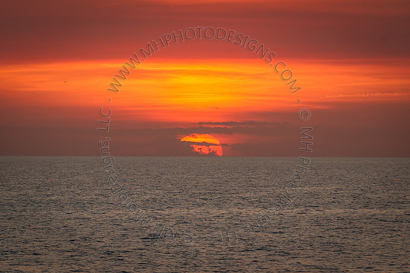 Florida 2012 ~ Week 4-153