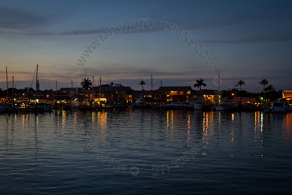Florida 2012 ~ Week 4-182