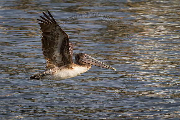 Florida 2012 ~ Week 4-030