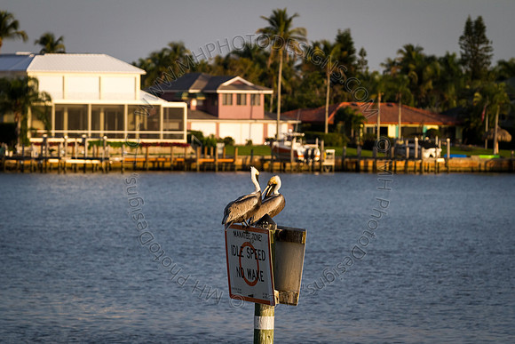 Florida 2012 ~ Week 4-060