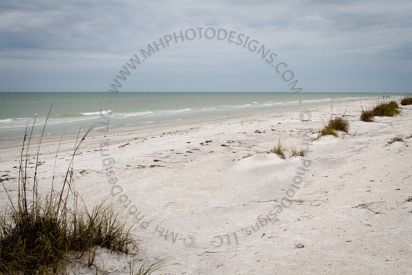 Florida 2012 ~ Week 4-190