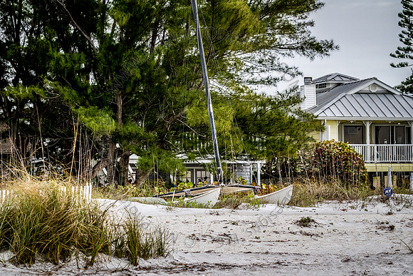 Florida 2012 ~ Week 4-232