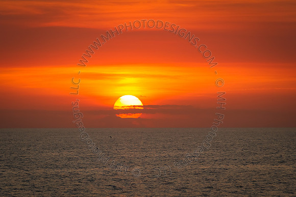 Florida 2012 ~ Week 4-142