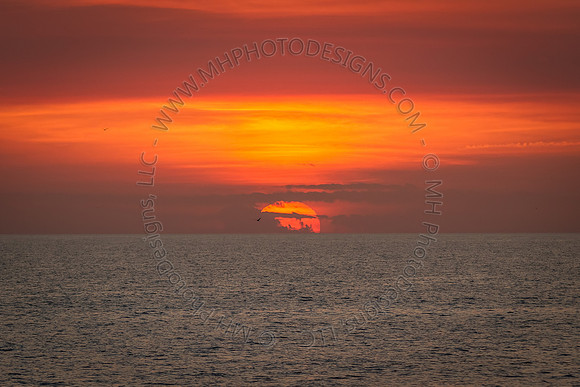Florida 2012 ~ Week 4-154