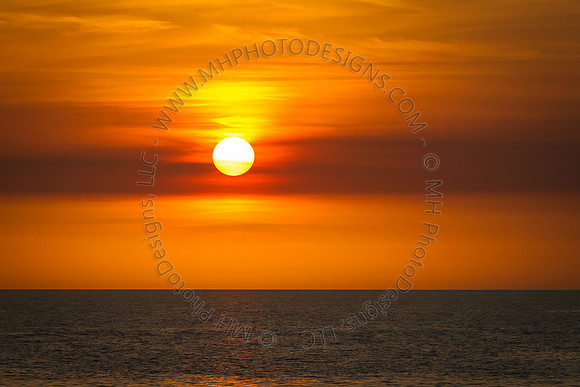 Florida 2012 ~ Week 4-128