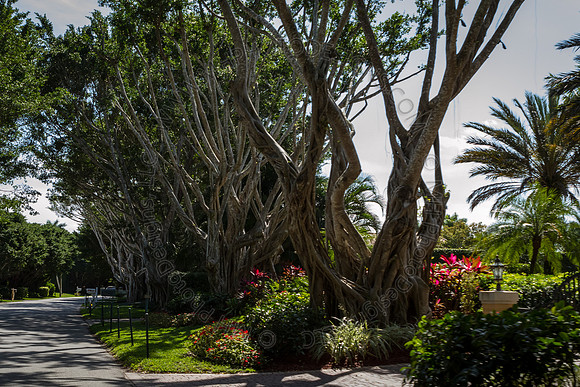 Florida 2012 ~ Week 4-015