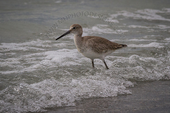 Florida 2012 ~ Week 4-211