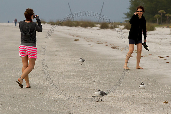 Florida 2012 ~ Week 4-202
