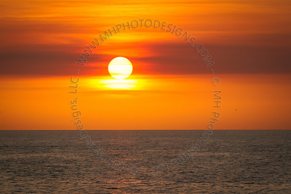 Florida 2012 ~ Week 4-132