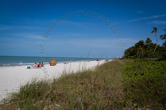 Florida 2012 ~ Week 4-006