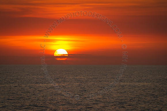 Florida 2012 ~ Week 4-140
