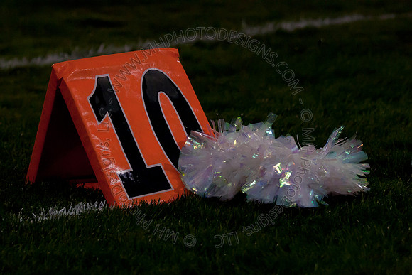 Nekoosa Homecoming Football 2010-032