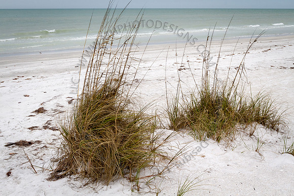 Florida 2012 ~ Week 4-192