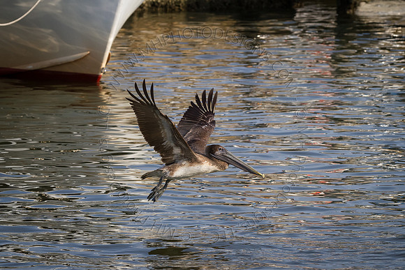 Florida 2012 ~ Week 4-032