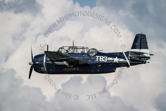EAA AirVenture 2012-341