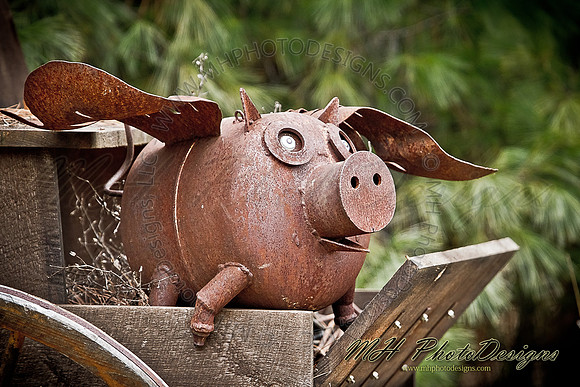 November Projects 2011-006