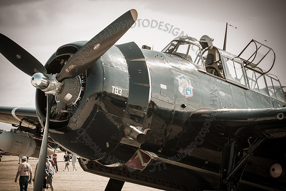 EAA AirVenture 2012-038