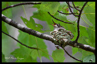July Projects 2010-002