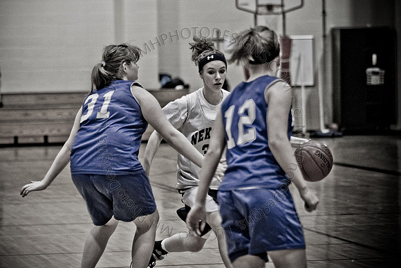Nekoosa AMS Girls B-Ball 2011-017